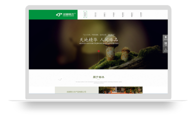 成都联太农产品网站设计 打造品牌形象与市场拓展的数字化窗口